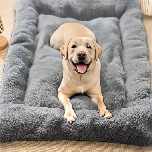 RestedPaws Essential Orthopedic Bed