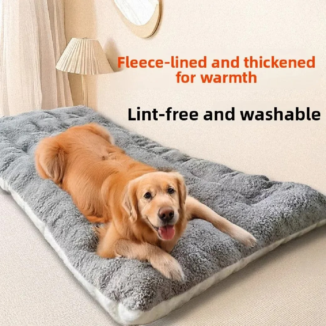 RestedPaws Essential Orthopedic Bed